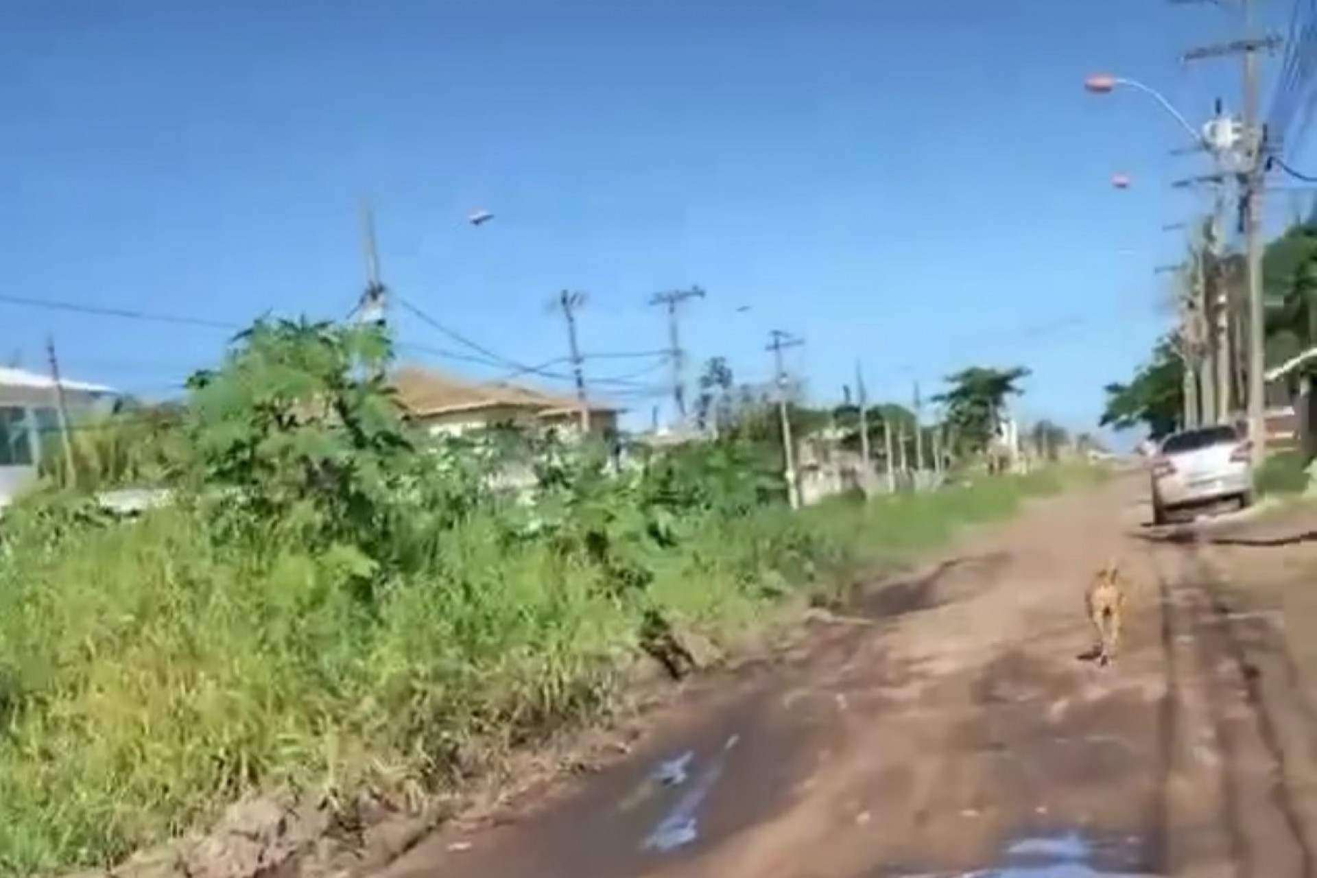 Falta de ação por parte da Prefeitura tem gerado revolta na comunidade, que convive diariamente com buracos - Foto: Reprodução Rede Social