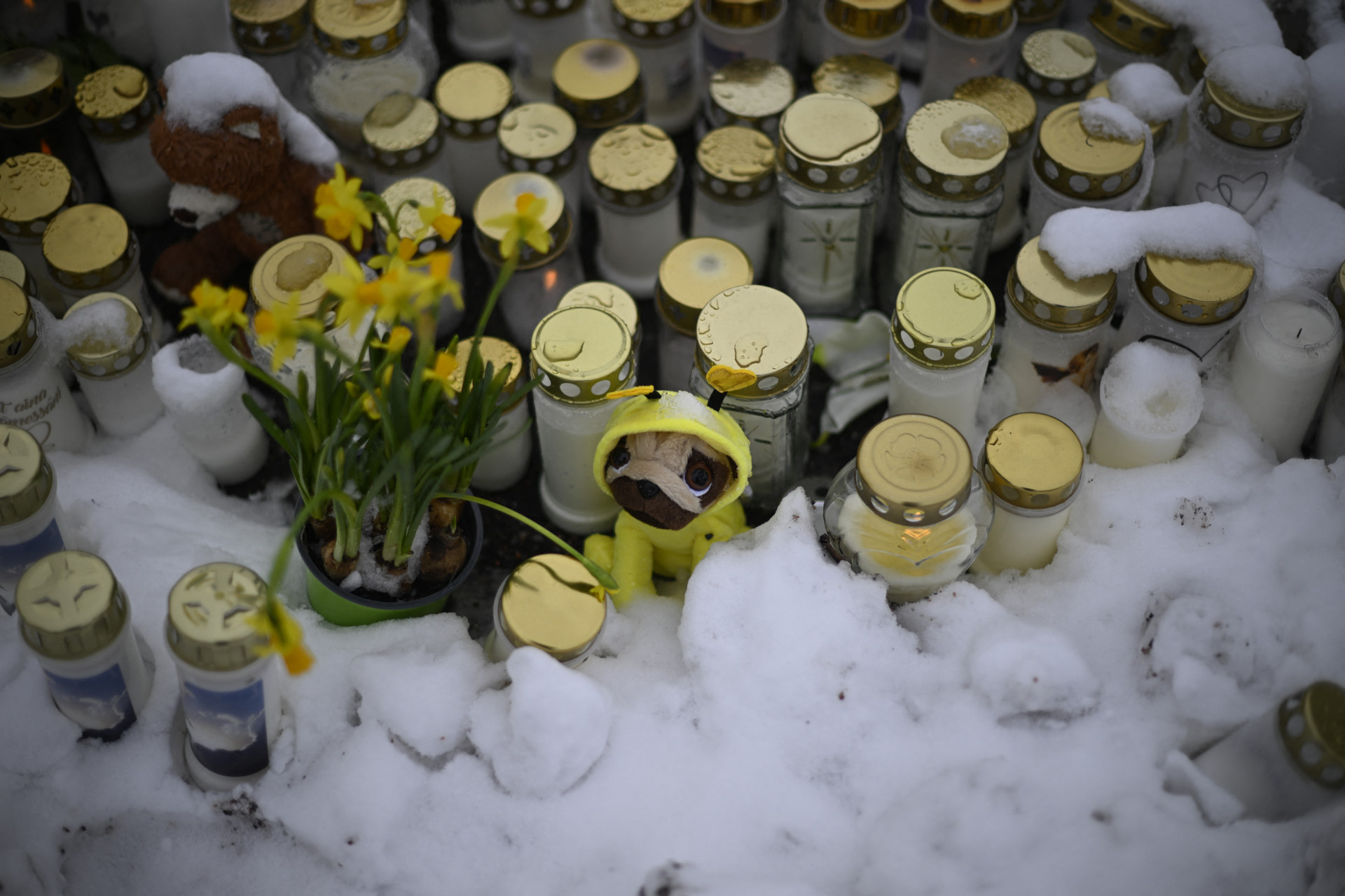 Flores e velas depositadas em homenagem as vítimas do ataque a escola na Finlândia - Olivier Morin / AFP