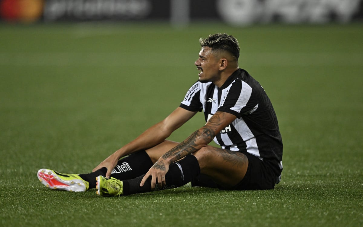Botafogo - Mauro Pimentel / AFP