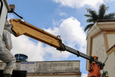 Enxame de abelhas é retirado em Itatiaia