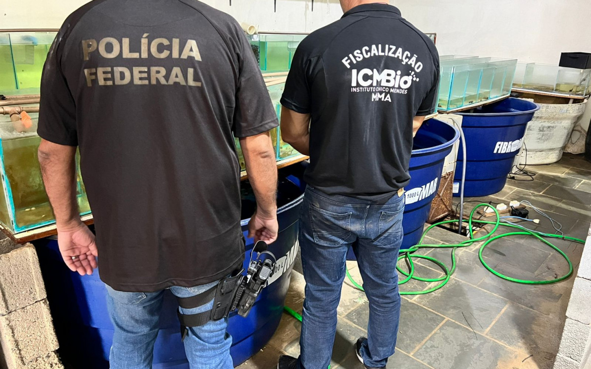 Agentes cumpriram dois mandados de busca e apreensão em São Pedro da Aldeia