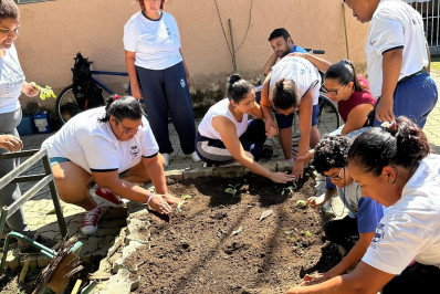 Prefeitura inicia o programa Horta nas Escolas