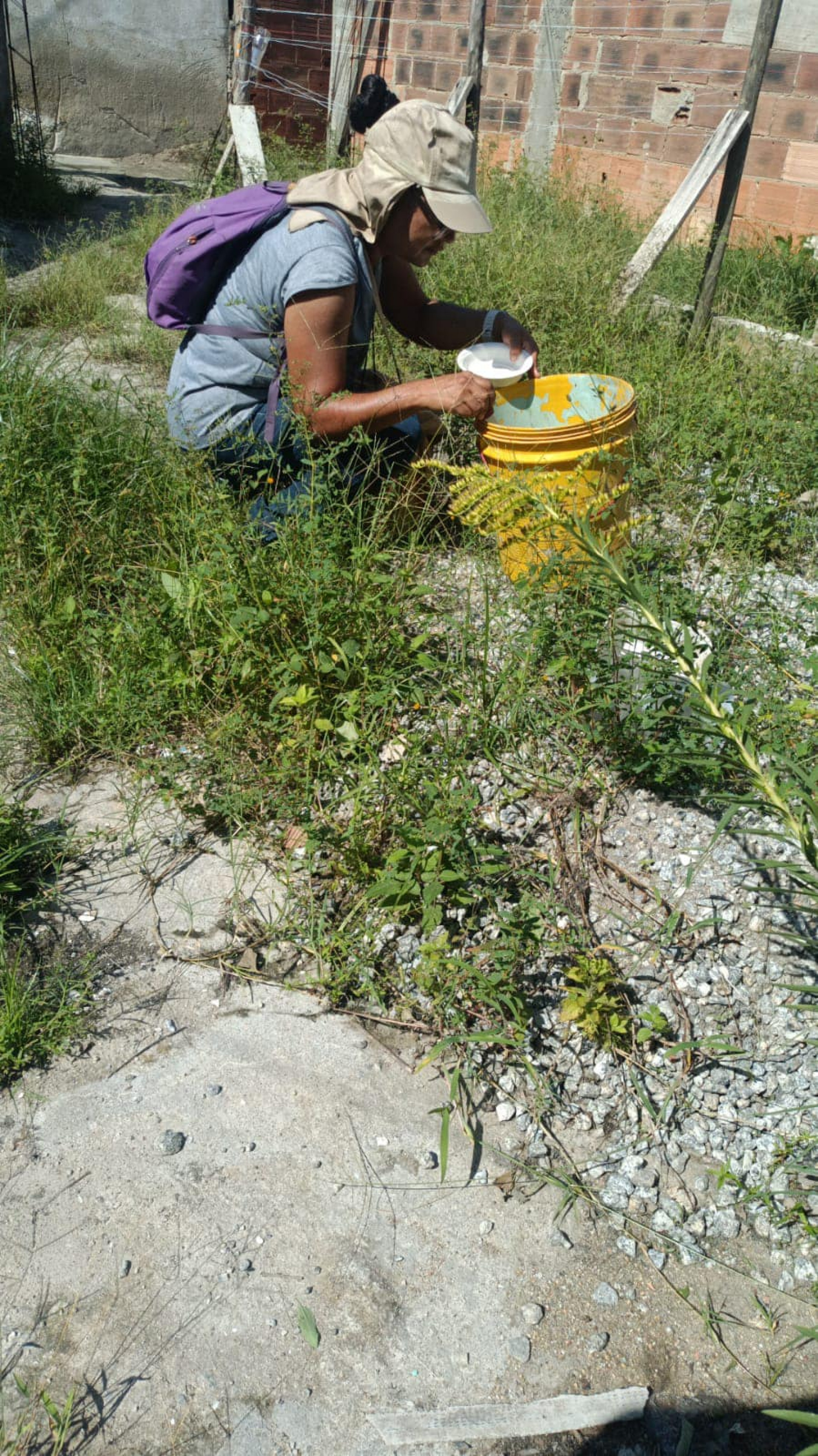 Boletim da Dengue Araruama