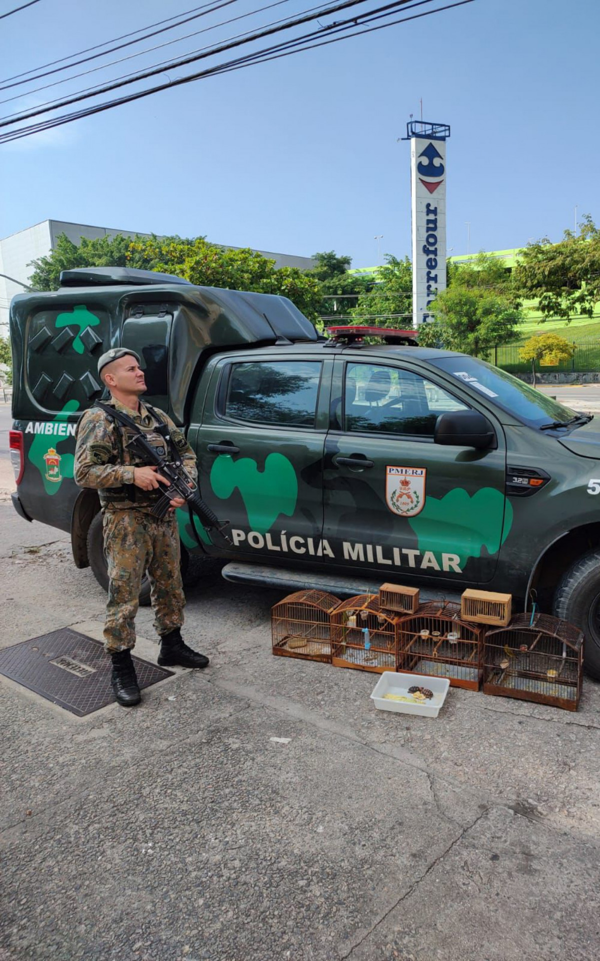 Mais de 20 aves foram apreendidas apenas neste fim de semana - Divulgação