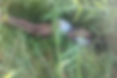 Corpo de mulher é encontrado com marcas de agressão em Cabo Frio