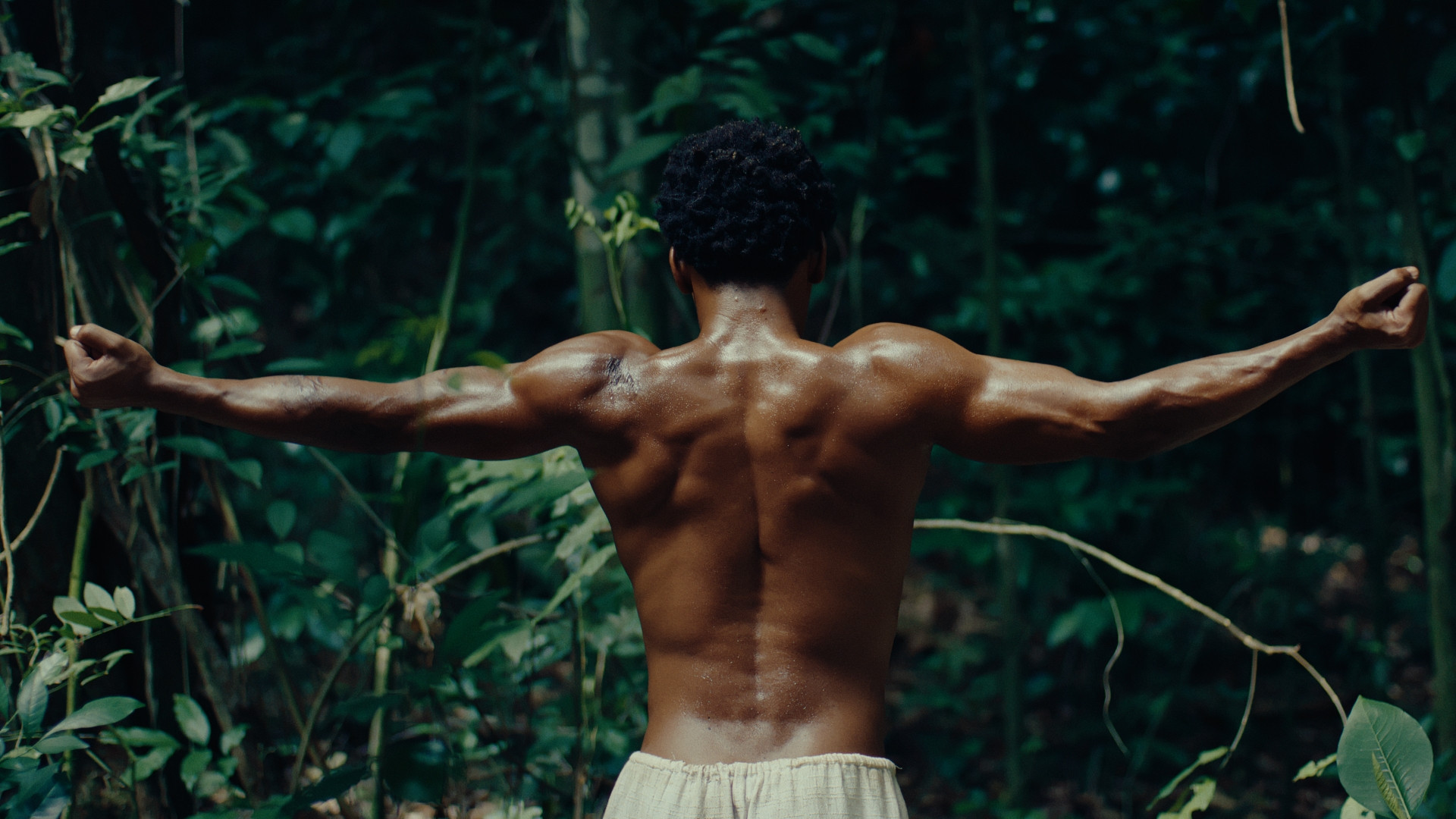 Enredo vai contar saga de líder quilombola - Reprodução / Vídeo