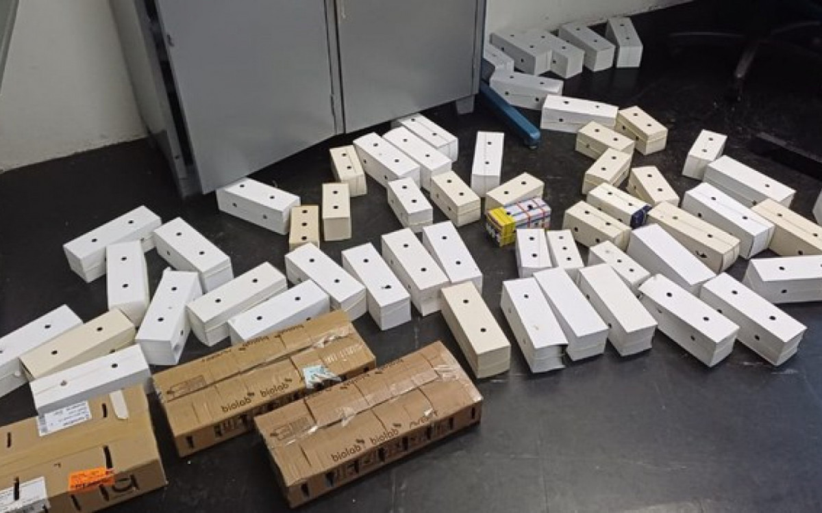 Alguns dos animais se encontravam mortos e outros em condições degradantes