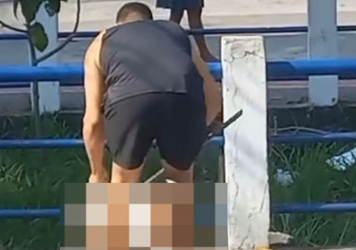 Pitbull ataca cão de pequeno porte na Zona Norte