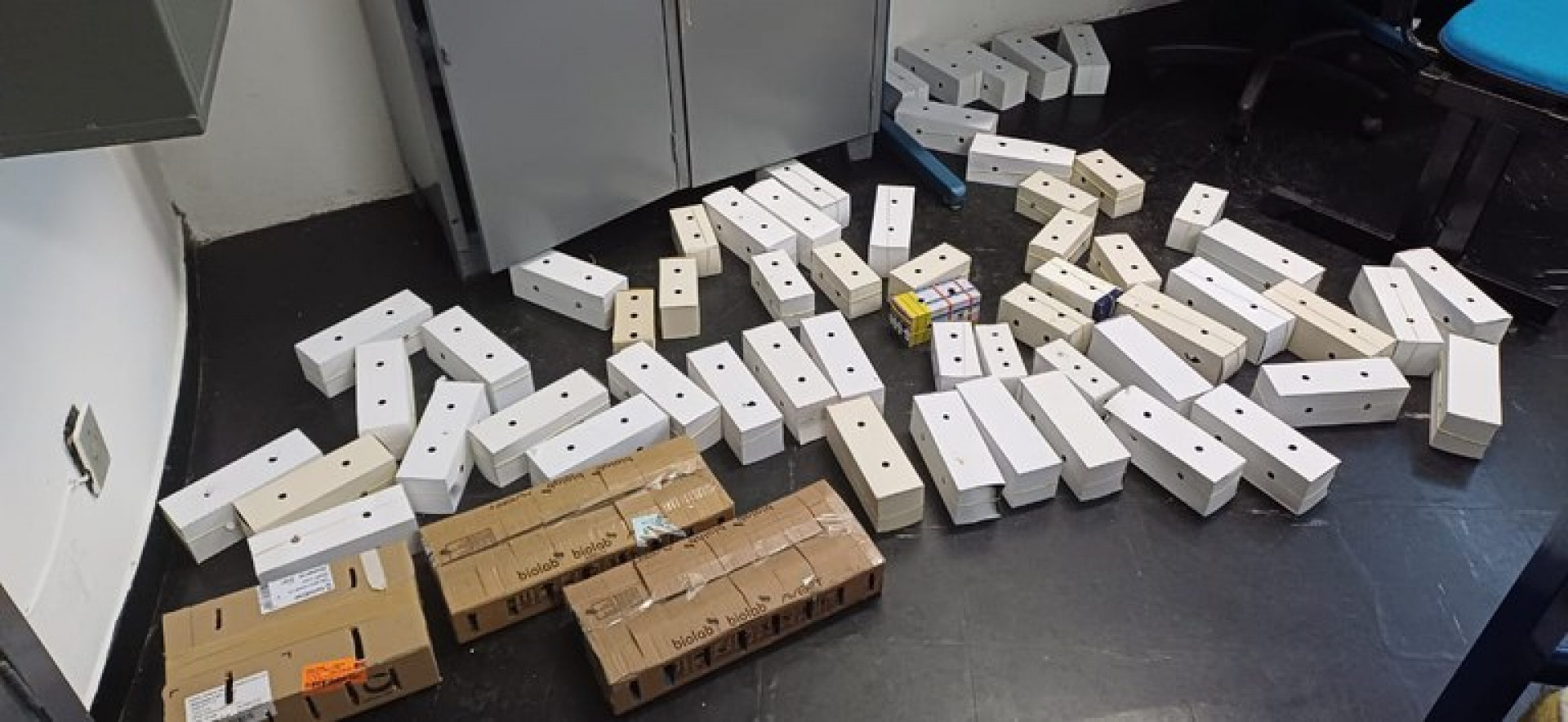 Alguns dos animais se encontravam mortos e outros em condi&ccedil;&otilde;es degradantes - Divulga&ccedil;&atilde;o / PRF