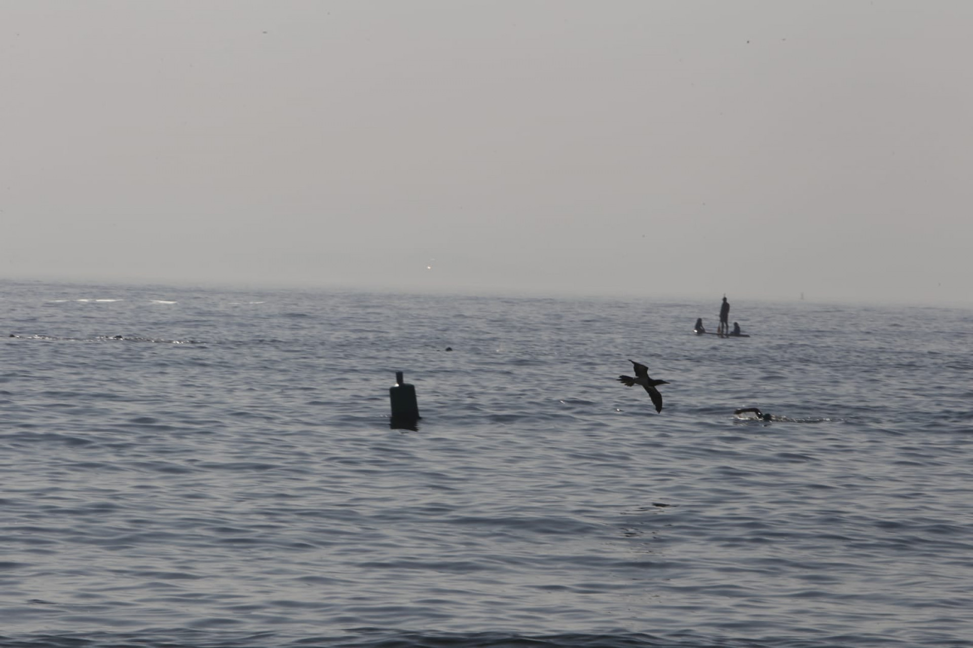 Após uma quarta-feira (10) ensolarada, Rio tem previsão de chuva fraca e isolada ao longo da semana - Reginaldo Pimenta / Agência O Dia