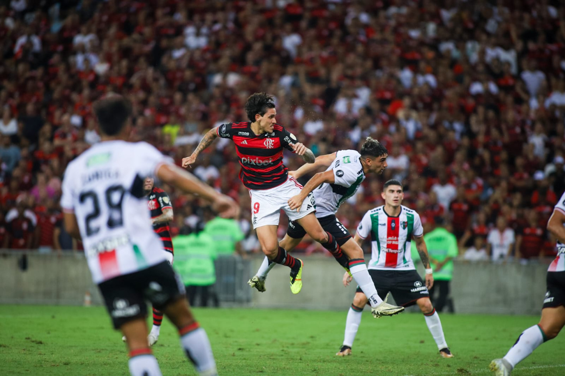 Pedro em jogada aérea na vitória do Flamengo sobre o Palestino - Renan Areias/Agência O Dia