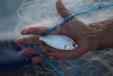 Ação de combate à pesca predatória na Lagoa de Imboassica intensifica fiscalização