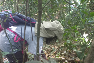 Niterói conclui primeira fase de estudos sobre biodiversidade faunística de Jurujuba