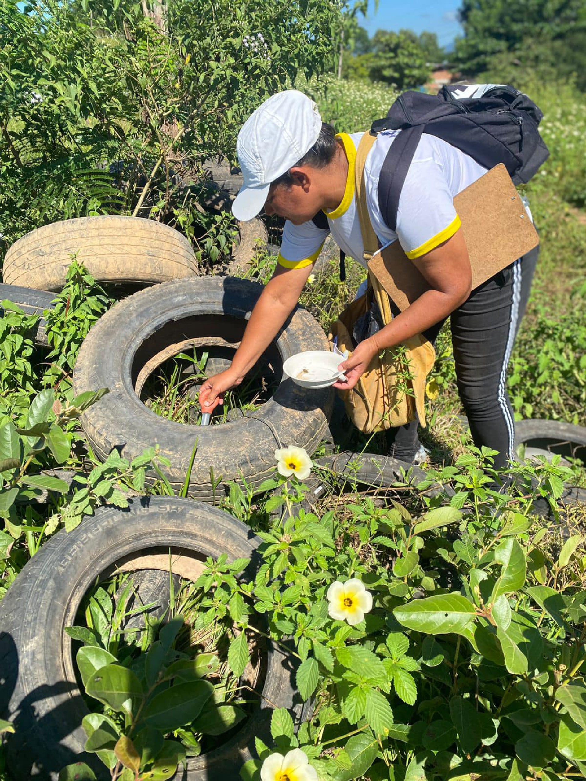 Tarefas simples ajudam a eliminar os criadouros do mosquito, como a limpeza dos quintais e a retirada da água parada de objetos que possam servir para a reprodução das larvas