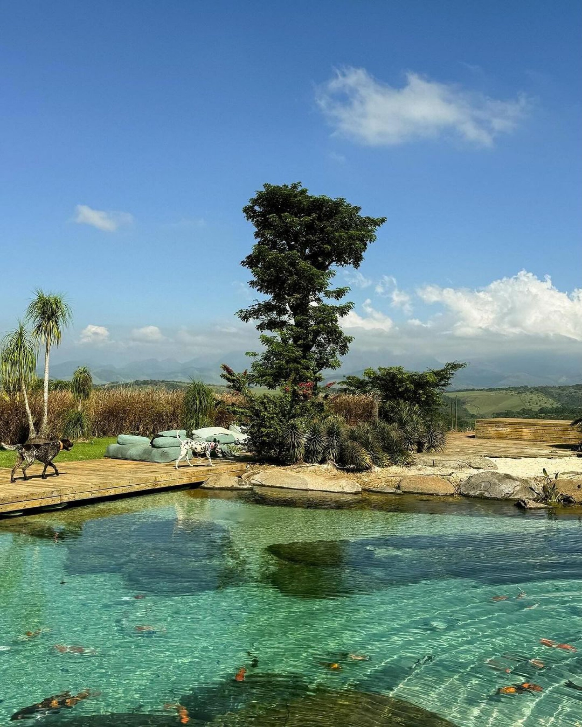 Bruno Gagliasso completa 42 anos - Reprodução/Instagram