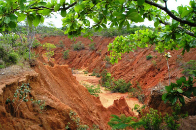 Dia Nacional de Conservação do Solo