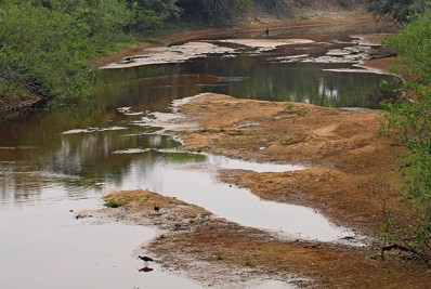 Apesar de previsões de chuvas no Pantanal, cenário na Bacia do Rio Paraguai ainda é crítico
