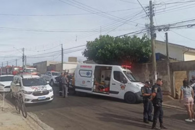 Pitbull mata tutor em Mogi Mirim 9 dias após escritora ser atacada por cães da mesma raça