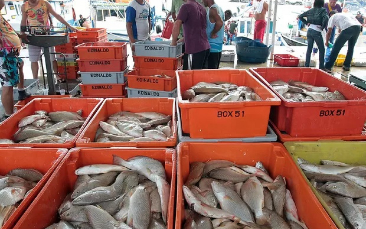 Período de defeso vai até o próximo dia 30