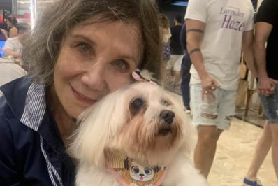 Sylvia Massari desabafa após morte de cachorrinha: 'Não estou sabendo lidar'