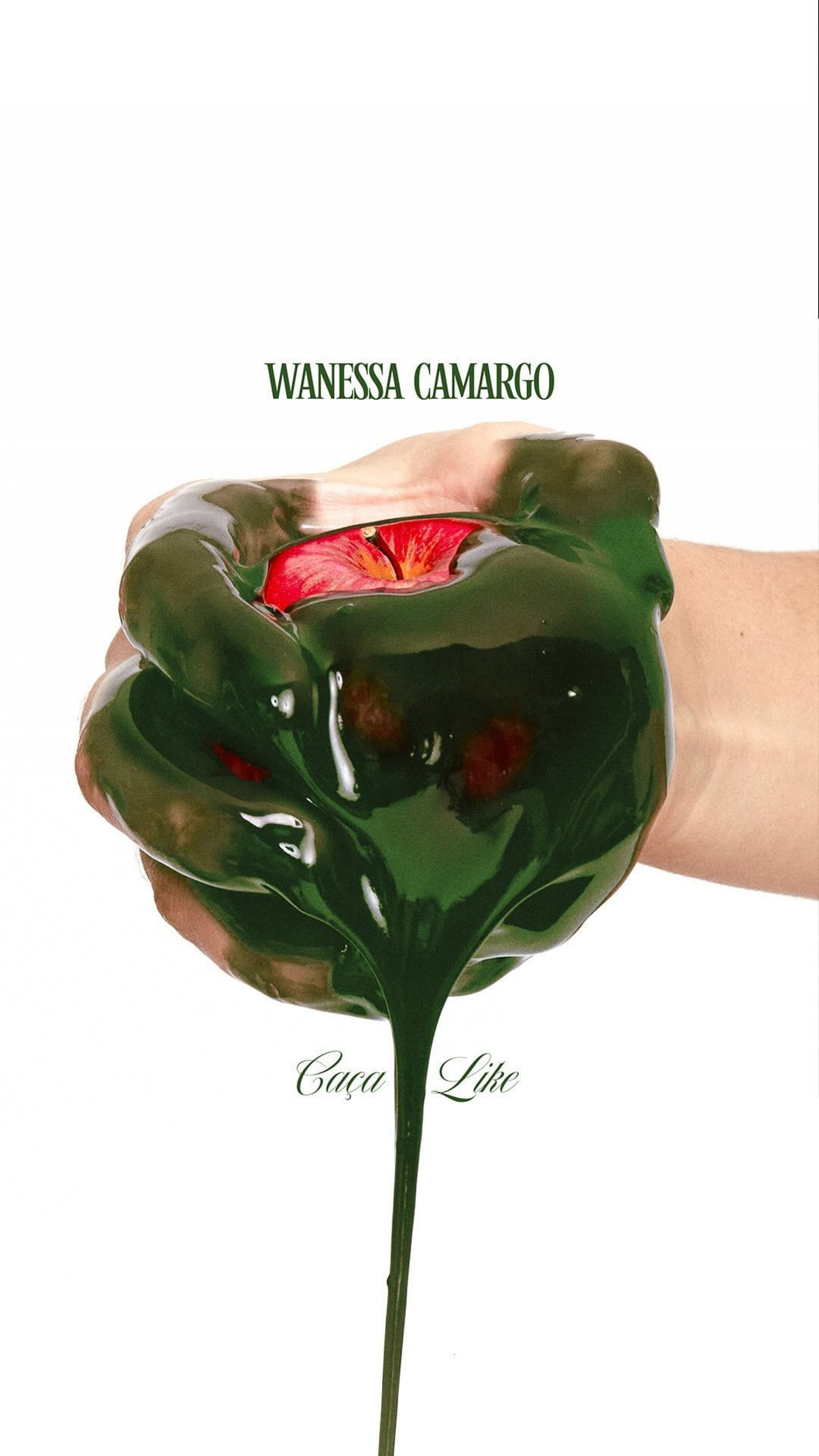 Wanessa Camargo lança nova música Caça Like - Reprodução / Instagram