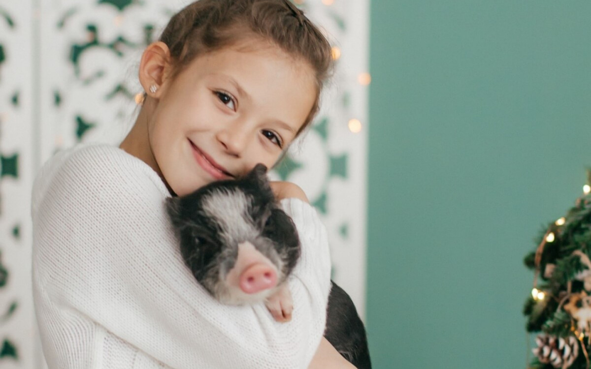 Animais de estima&ccedil;&atilde;o ex&oacute;ticos est&atilde;o conquistando o cora&ccedil;&atilde;o das pessoas (Imagem: Forewer | Shutterstock)