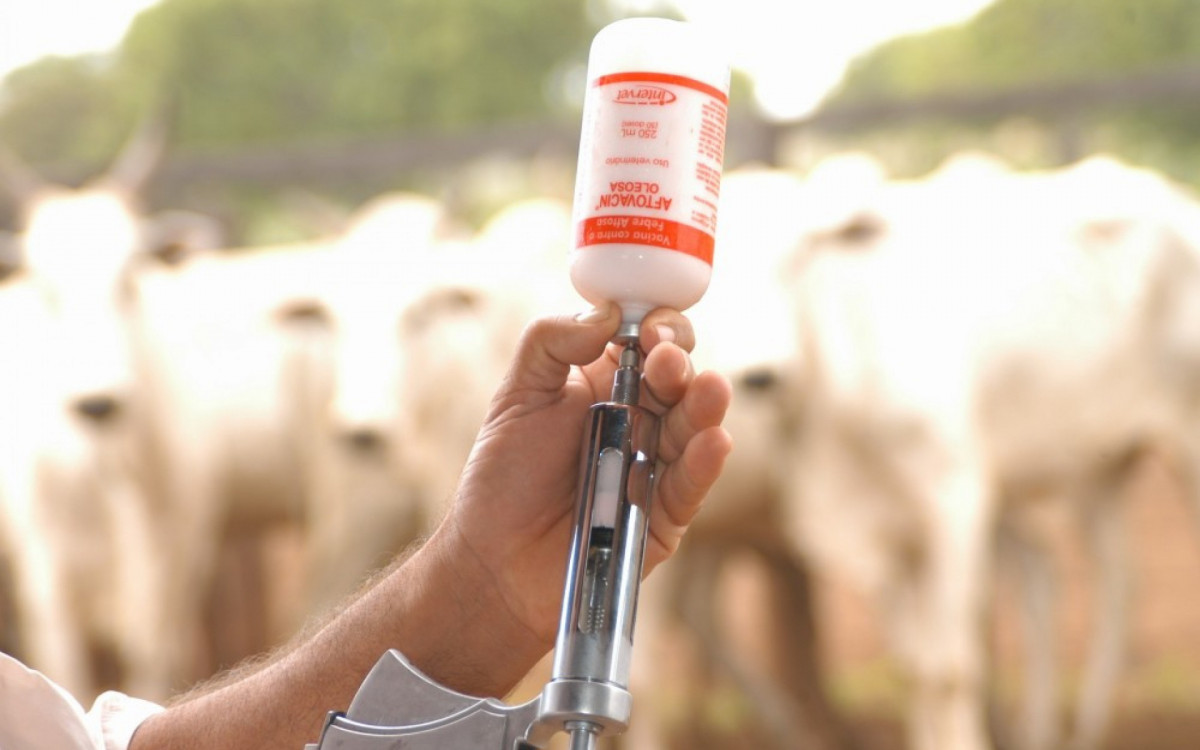 Este status sanitário possibilita a exportação de produtos agropecuários