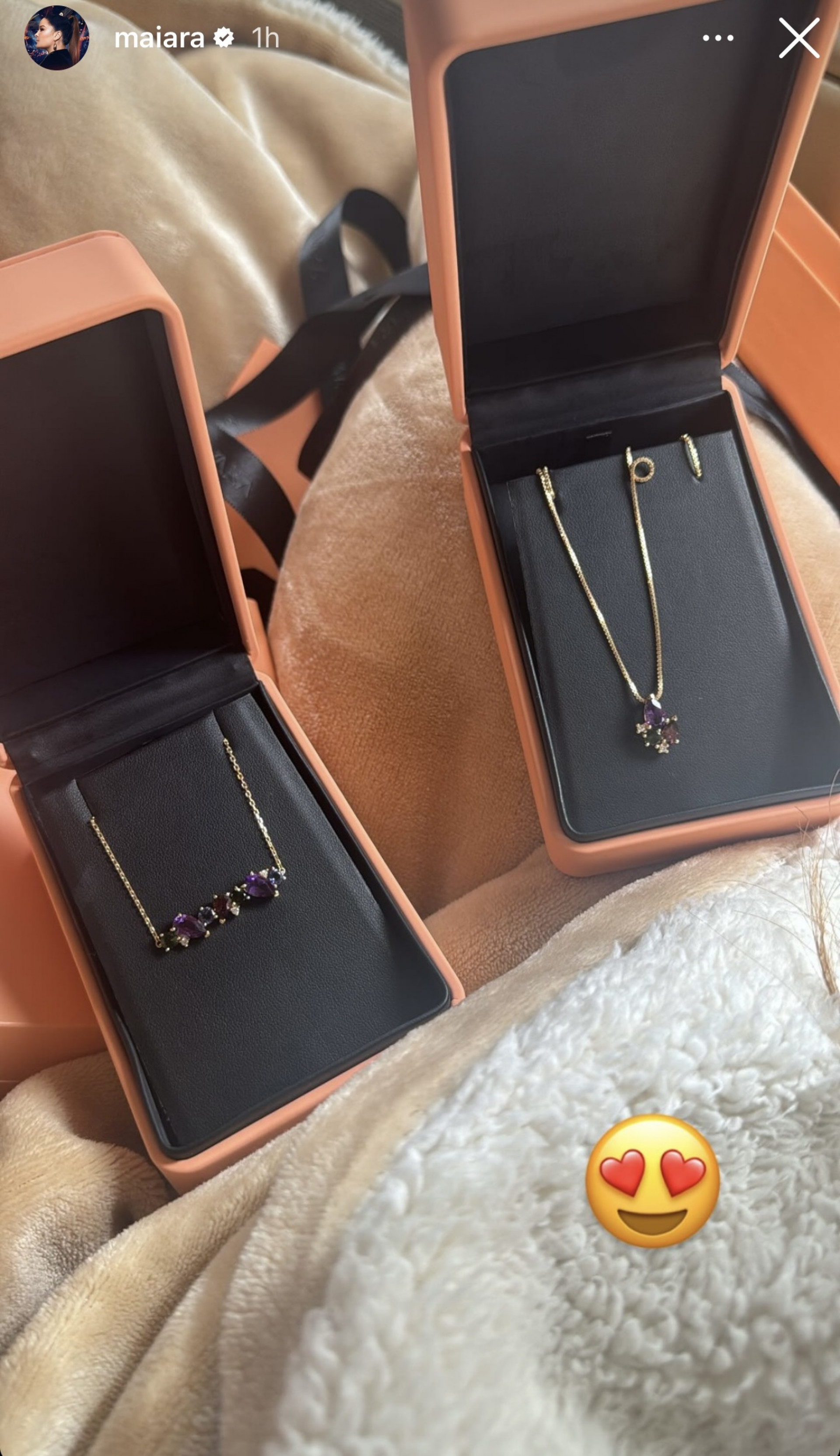 Maiara ganha presente de admirador secreto - Reprodução