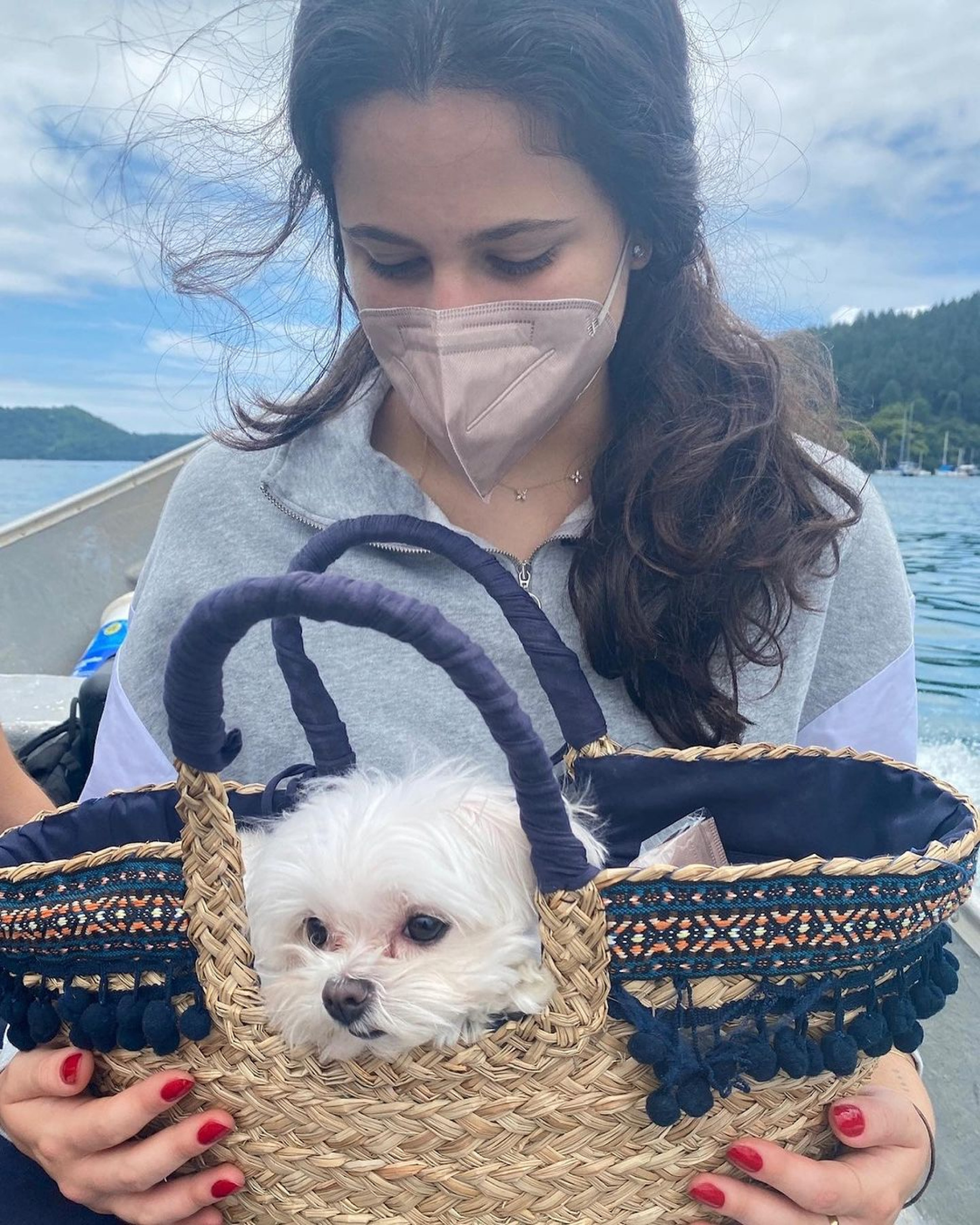 Claudia Raia lamenta morte de cachorro de estimação - Reprodução