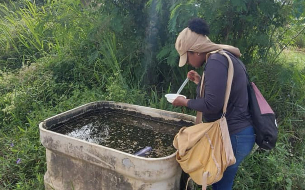 Na ação, os agentes orientam a população sobre as medidas de combate à proliferação do mosquito, alertando sobre a importância da execução de tarefas simples que ajudam a eliminar possíveis criadouros