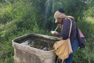 Agentes da Vigilância Epidemiológica dão continuidade à campanha de combate à dengue em Araruama