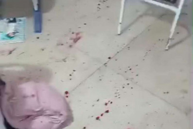 Adolescente atira em colega dentro de escola no interior de Alagoas