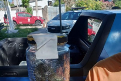 Homem vai parar no hospital após levar picada de cobra em Cabo Frio