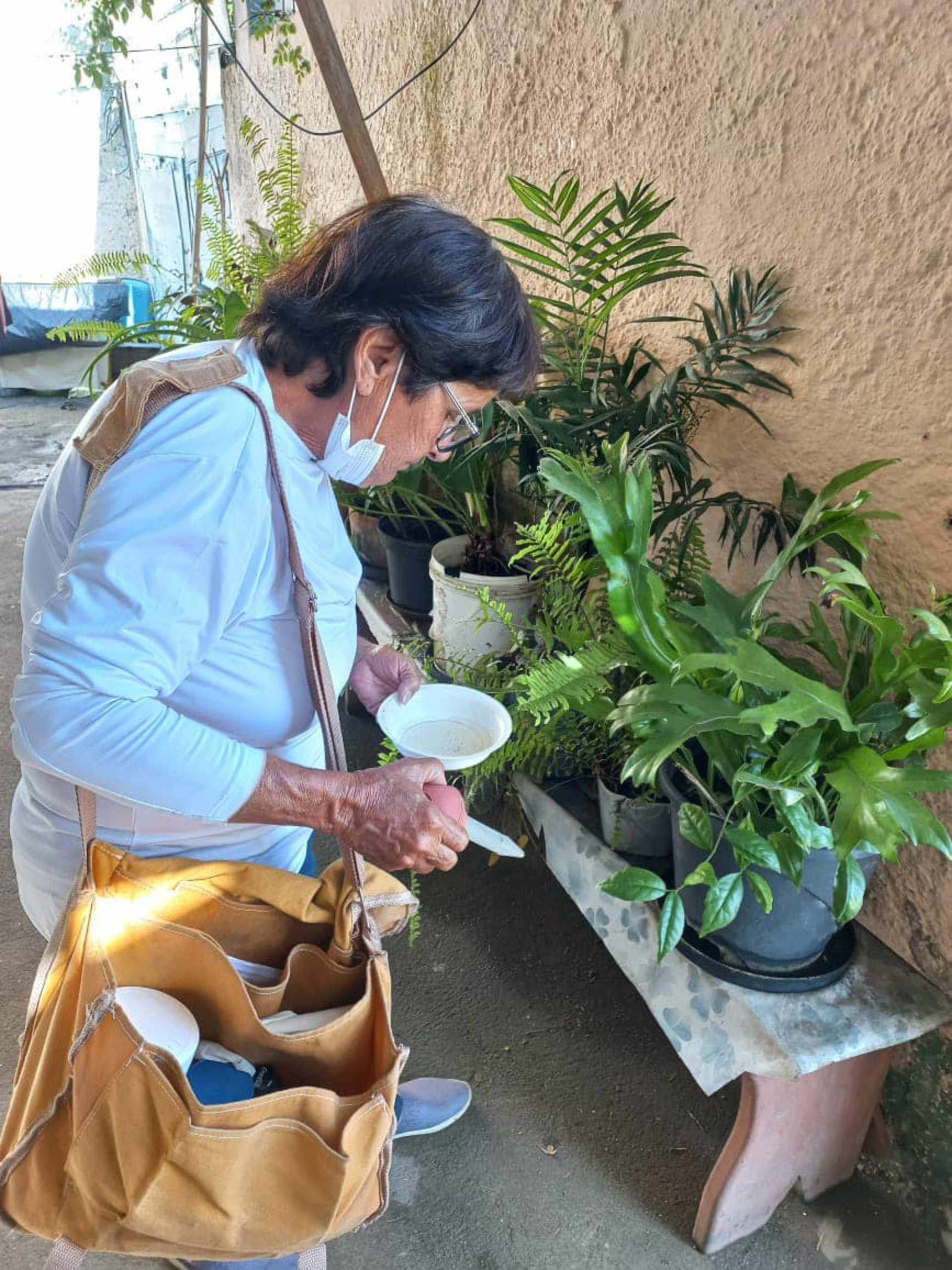 Vigilância Epidemiológica atua no combate à dengue em Araruama