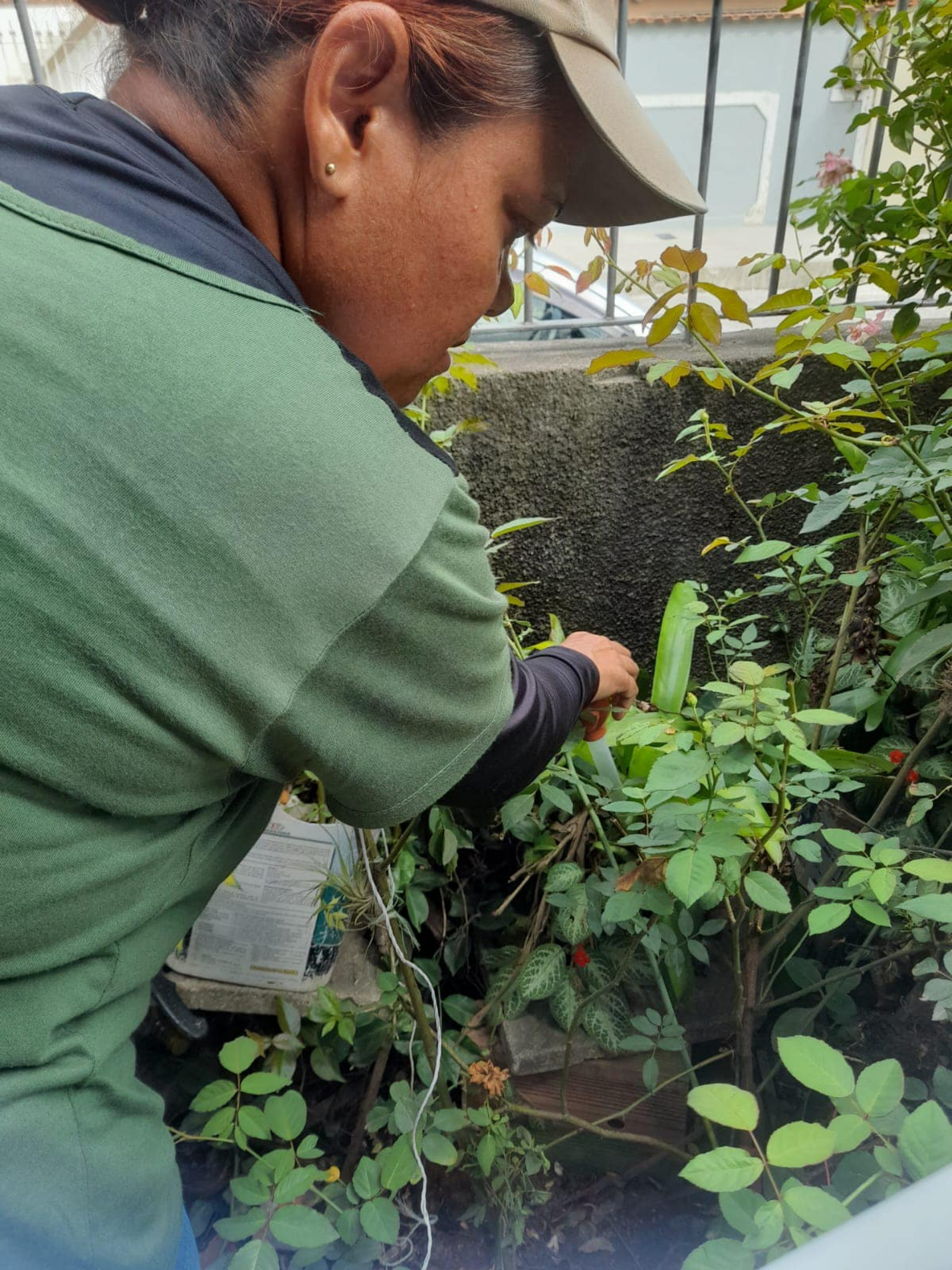 Vigilância Epidemiológica atua no combate à dengue em Araruama