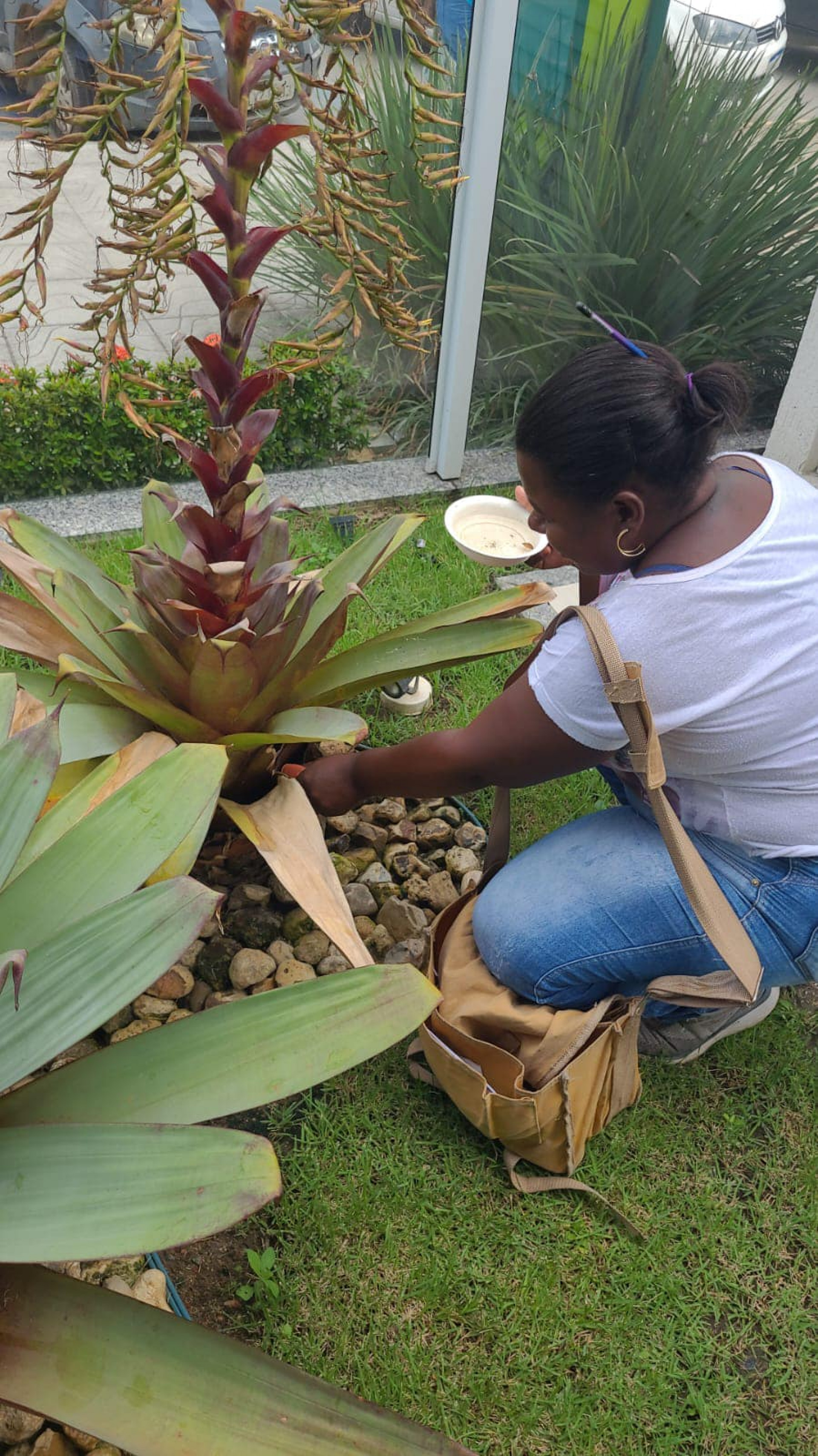 Vigilância Epidemiológica atua no combate à dengue em Araruama
