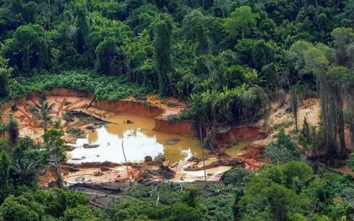 A devastação do Garimpo na Amazônia