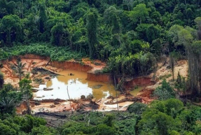 Ouro na Amazônia: o Brilho da Devastação
