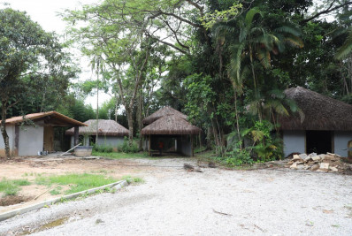 Miguel Pereira investe na preservação da fauna da Mata Atlântica