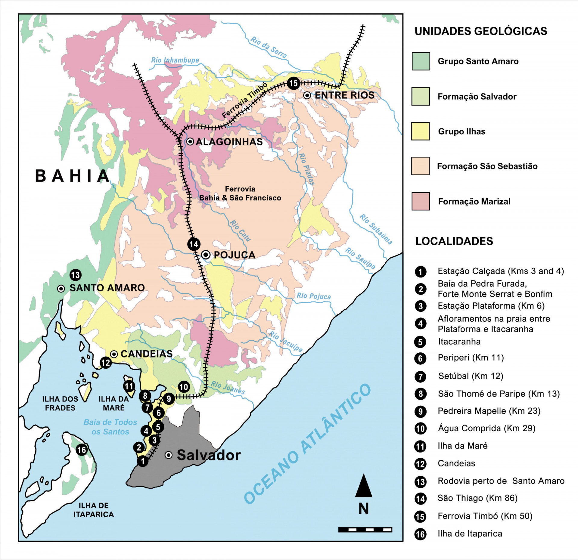 Nova espécie de dinossauro foi descoberta por pesquisadoras da Uerj - Thales Nascimento/Divulgação
