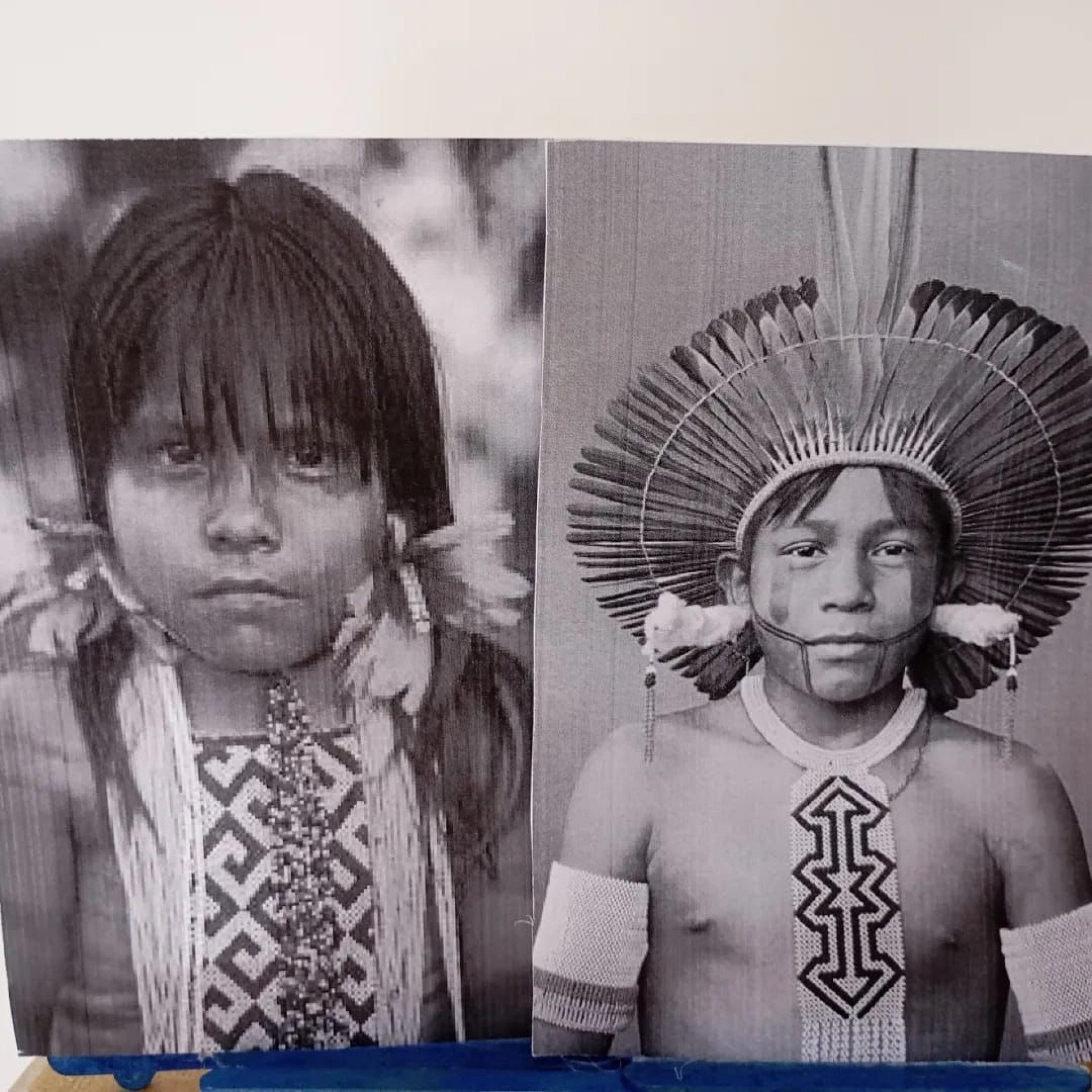 Dia dos Povos Indígenas  - Divulgação 