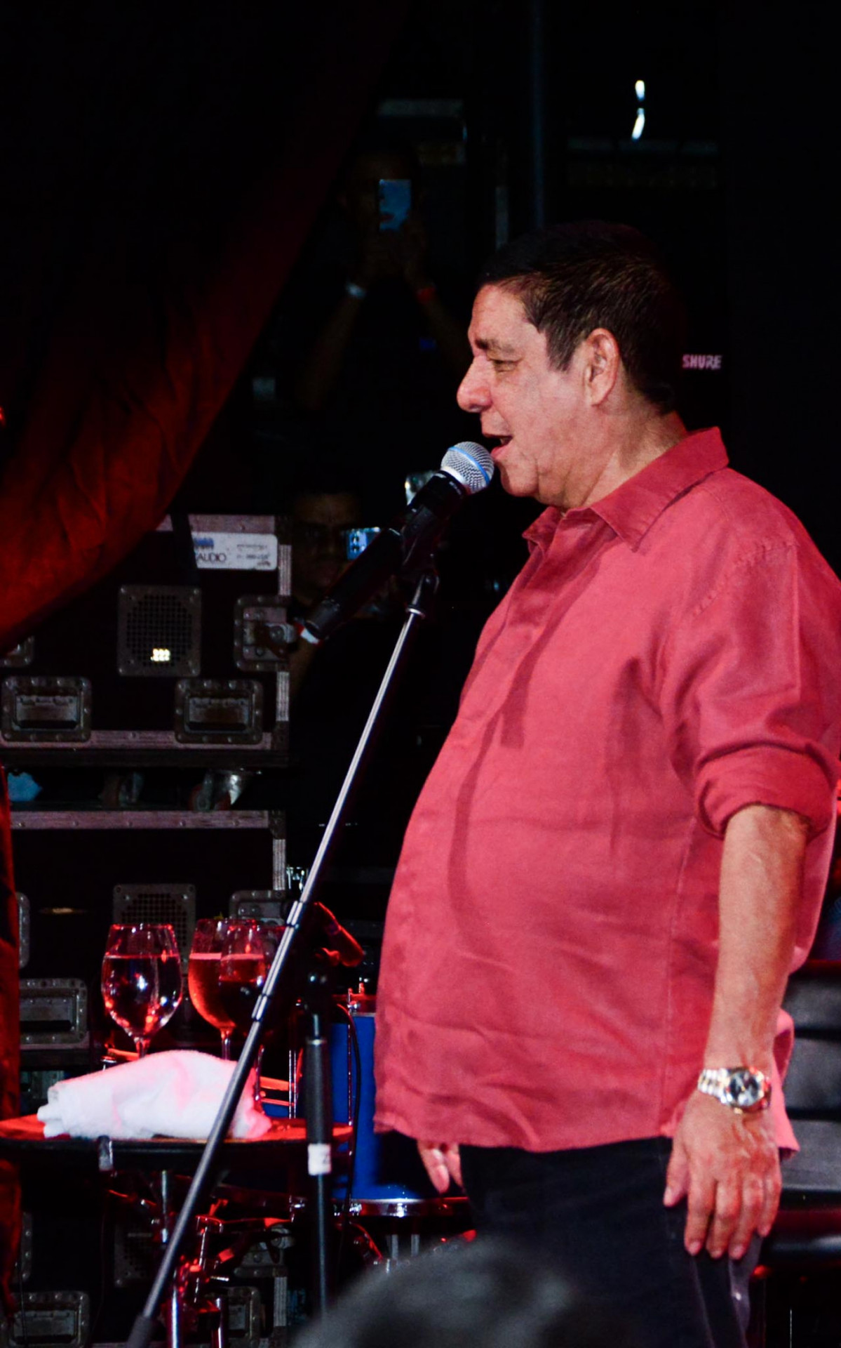 Zeca Pagodinho em show no Rio