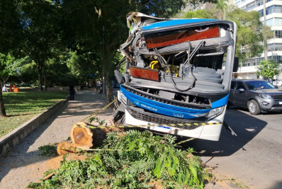 Ônibus de linha bate em árvore na Zona Sul 