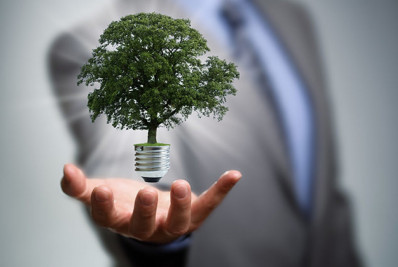 Empresas de capital fechado não assumem compromissos climáticos suficientes, aponta ONG