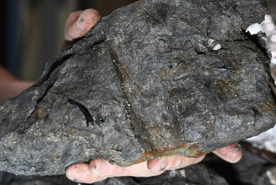 Fóssil de réptil marinho de 70 milhões de anos é descoberto no Chile