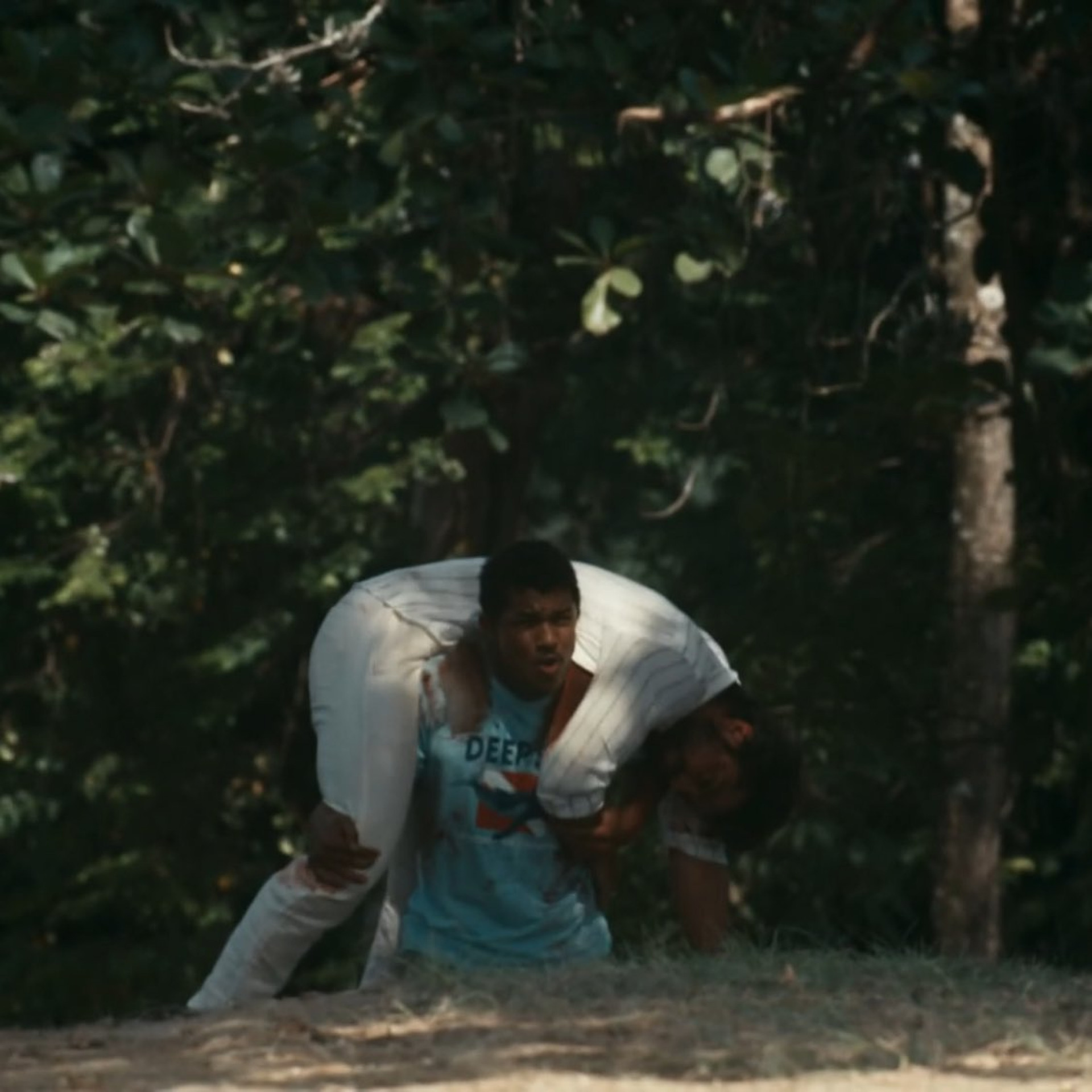 Público elogia cena de morte de José Venâncio em 'Renascer': 'Impecável' - Reprodução