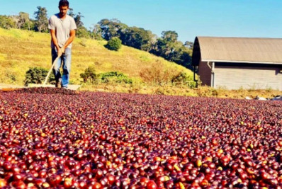 Café com gosto de dólar