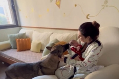 Vídeo! Fernanda Paes Leme mostra primeiro encontro da cachorra com a filha