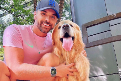 Tutor afirma que havia o nome de outro animal na caixa que transportava Joca