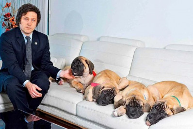Cachorros de Milei são motivo de debate na Argentina; entenda